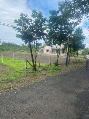 bán gấp đất nền dự án tại nha bích new center, 400 triệu, 300m2