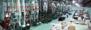 chính chủ cho thuê kho 2600m2 tại quốc lộ 22, 110 triệu, hóc môn, hcm hàng hiếm tại bao đẹp