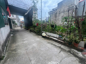 cần bán nhanh đất lương quy 56.4m², ngõ rộng, gần trường mầm non