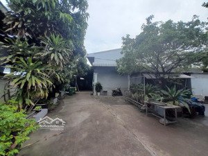 kho xưởng cho thuê , quận 12 , diện tích 3,500m2 , đường xe container