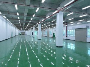 cho thuê kho 3.000m2, khuôn viên: 5.000m2 tại lê văn qưới, gần bốn xã, bình tân, trạm 1.000kva