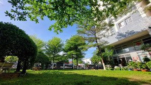 bán căn hộ chung cư 2pn,2wc gò vấp