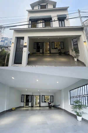 cho thuê vila chánh nghĩa 7pn full nội thất