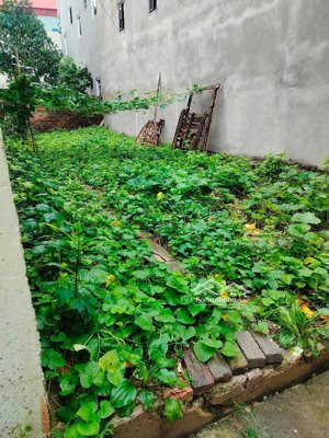 bán đất tại kcn quang minh, 5 tỷ, 75m2, giá tốt uy tín