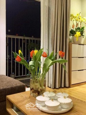 bán căn hộ i-home 1, 1pn, 1wc, 46m2, giá ưu đãi 1,62 tỷ tại phạm văn chiêu, gò vấp, hcm