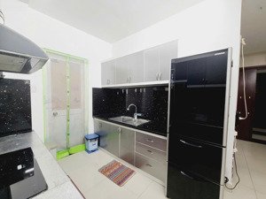 cho thuê căn hộ 3pn 98m2 tại the pegasus plaza, 11 triệu vnd