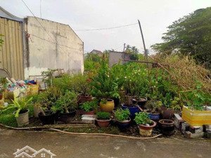 em cần bán gấp đất chính chủ ở đường nguyễn tri phương, phường chánh nghĩa, tp thủ dầu một