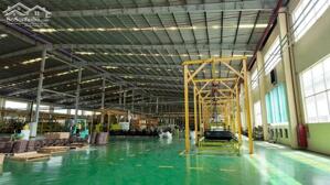  CHO THUÊ NHÀ XƯỞNG CAO CẤP TẠI KCN ĐỨC HÒA, LONG AN 