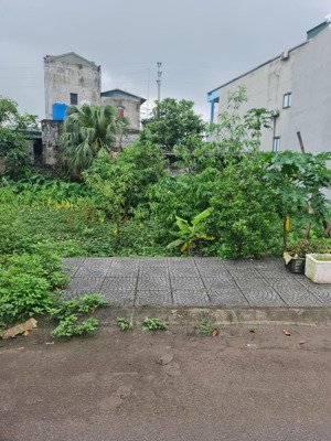 bán đất nền dự án kđt linh đàm, 16,1 tỷ, 60m2, chính chủ, uy tín