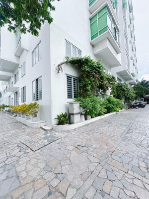 kế bên đh rmit, bán căn hộ tầng trệt 4pn, 4wc, 177m2 tại lê văn lương, q7, giá 6,99 tỷ bao thuế phí