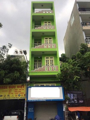 cần tiền chính chủ bán giá tốt chỉ 17 tỷ nhà mặt tiền đường tân sơn p.15 quận tân bình. dt 100m2
