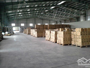 cho thuê kho trung tâm quận 10, dt: 300m2, 500m2, 1000m2...vị trí đắc địa - phù hợp mọi ngành nghề