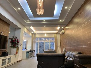cho thuê biệt thự full nội thất thiết kế châu âu hầm 3 lầu kdc himlam p.tân hưng quận 7