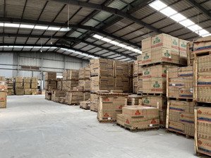 cho thuê kho diện tích từ 650m2 tại kcn an đồn, đà nẵng