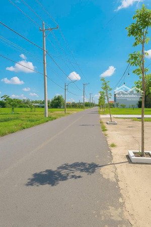 bán đất ở đô thị, shr đường trương định, thị trấn cần đước 990 triệu, 100m2, hot