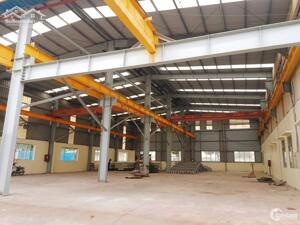  CHO THUÊ KHO, NHÀ XƯỞNG 750M² TẠI KCN AN ĐỒN – VỊ TRÍ VÀNG, TIỆN ÍCH ĐẦY ĐỦ – GIÁ CHỈ 60K/M² 