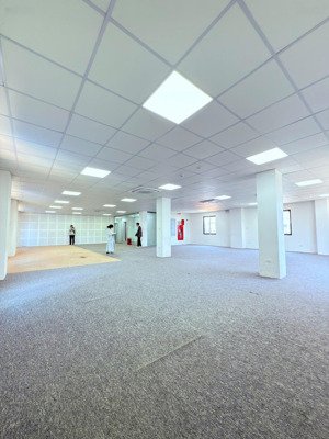 mt văn phòng tân cảng, bình thạnh, dt từ 55m2 - 350m2 giá cực tốt chỉ từ 25tr sẵn nội thất