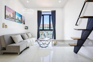ccmn vương thừa vũ , thanh xuân 100m2
